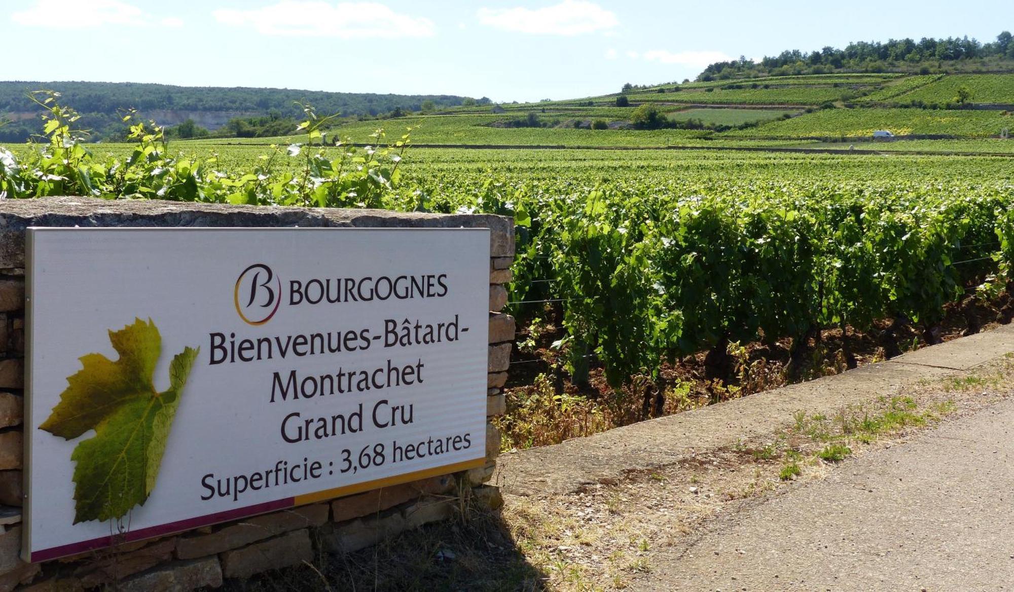 Appartamento The Mews Puligny-Montrachet Esterno foto